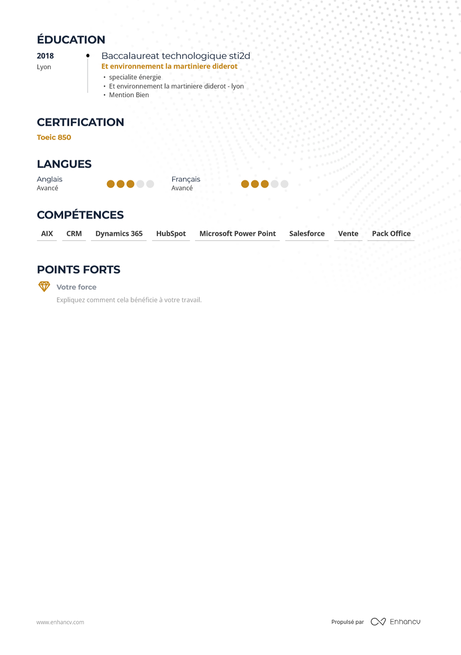 Enhancv importer CV 2